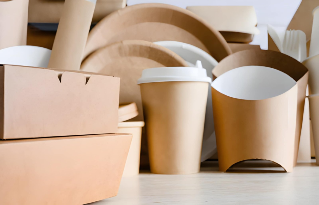 High Quality Disposable Food Container for Food Storage