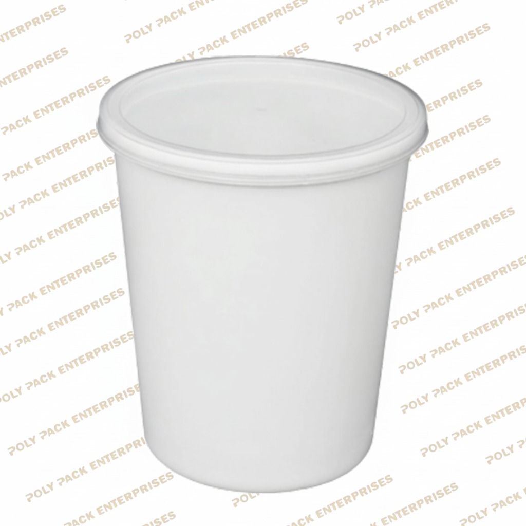 Disposable Container