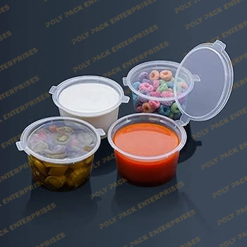 Disposable Container