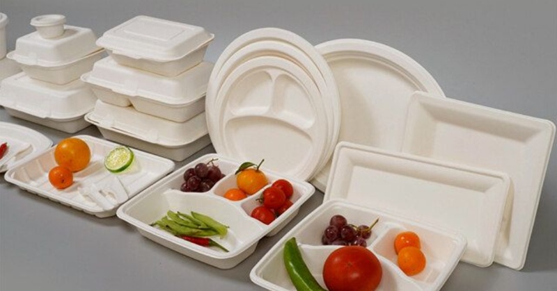 Biodegradable Disposable Products