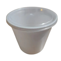 750 mL Container