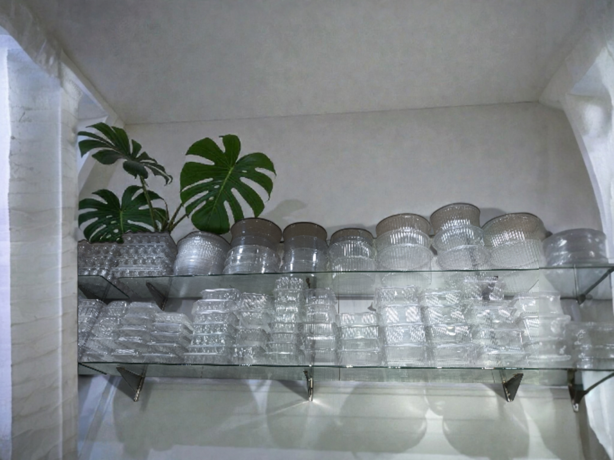 Premium PP Containers