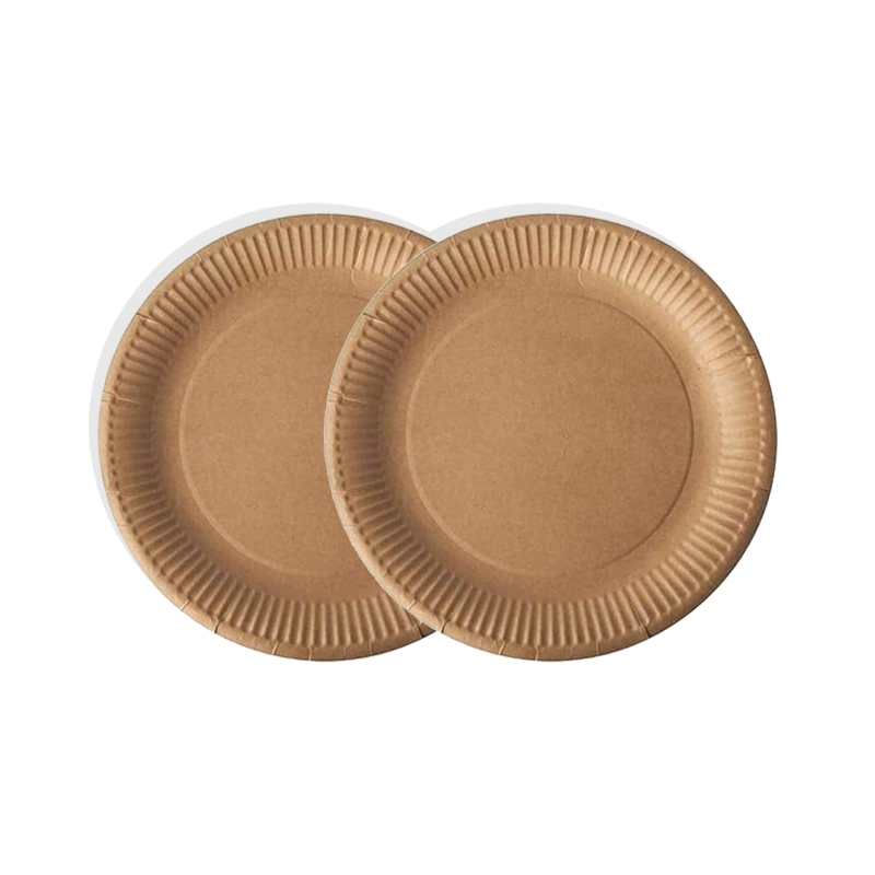 Paper Plate
