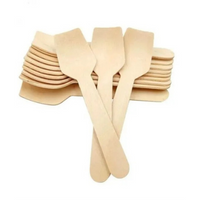 Disposable Wooden Spoon