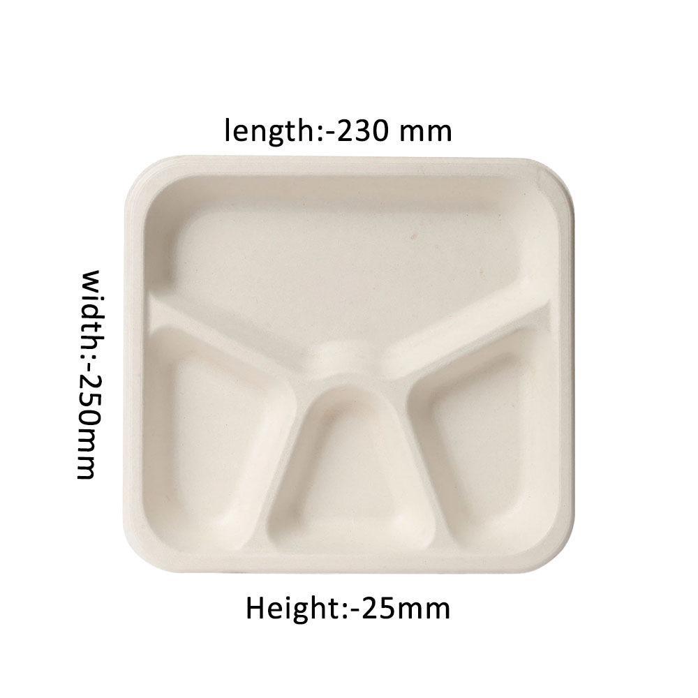 Bagasse Trays
