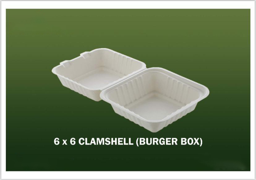 Bagasse Disposable Products