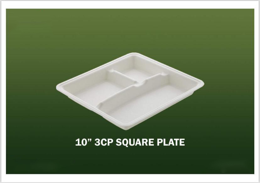 Bagasse Disposable Products