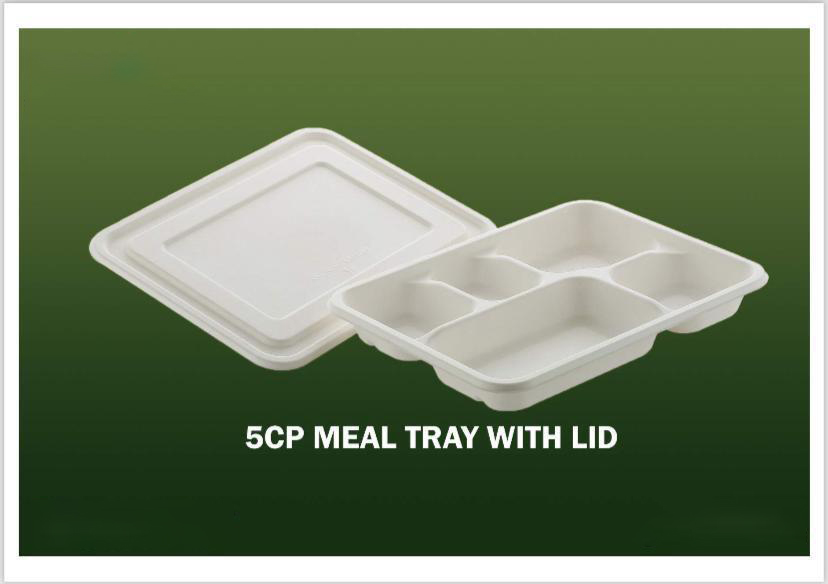 Bagasse Disposable Products