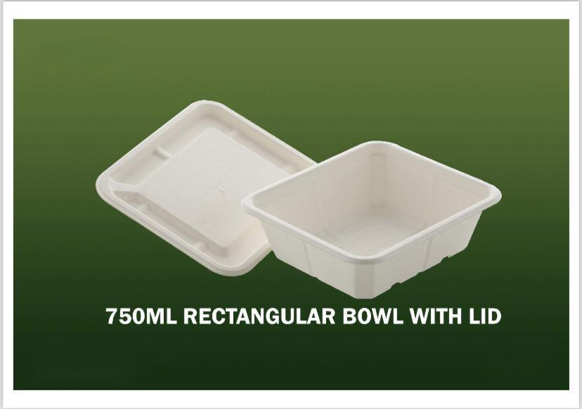 Bagasse Disposable Products