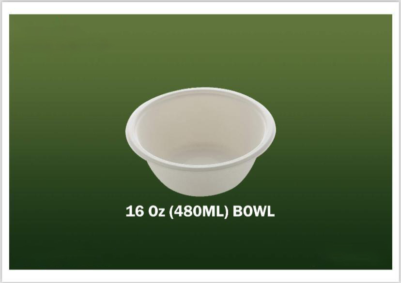 Bagasse Disposable Products