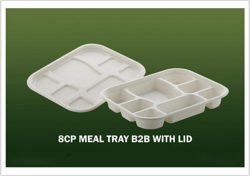 Bagasse Disposable Products