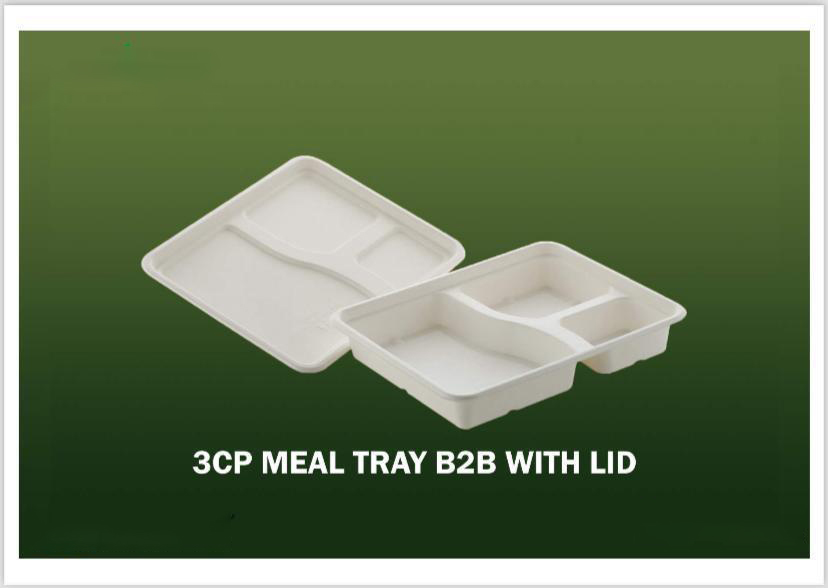 Bagasse Disposable Products