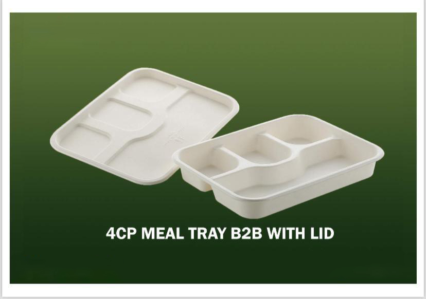 Bagasse Disposable Products