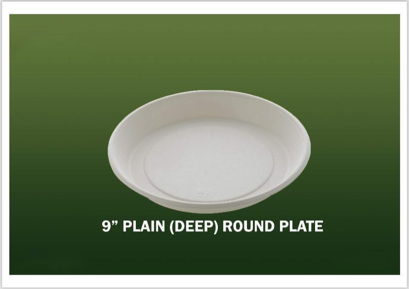 Bagasse Disposable Products