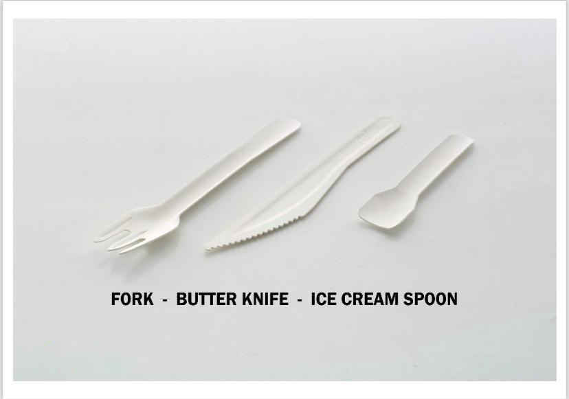 Bagasse Disposable Products