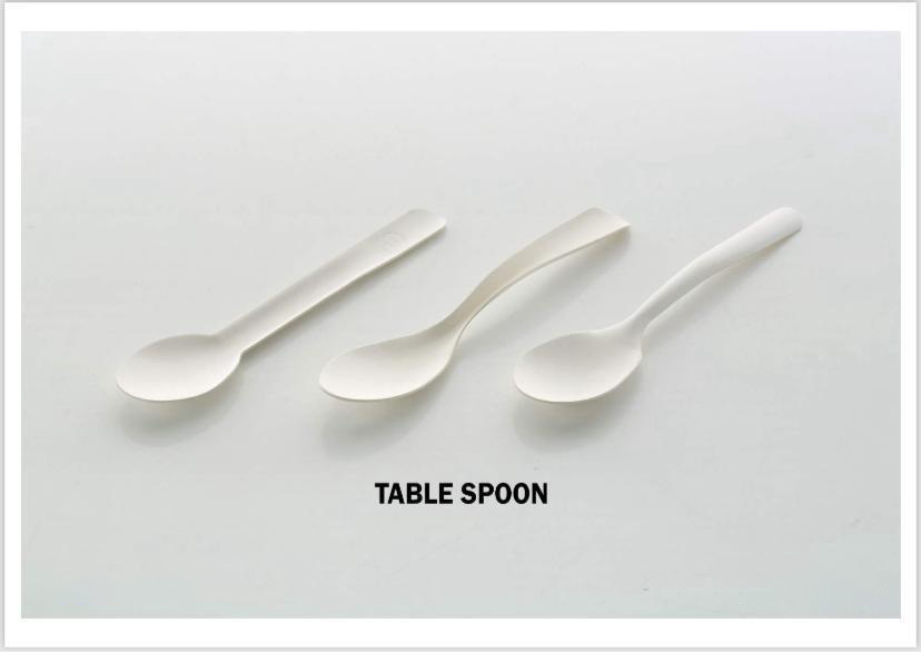 Bagasse Disposable Products