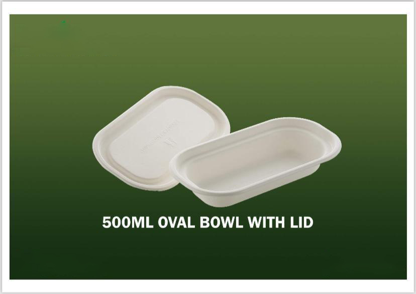 Bagasse Disposable Products