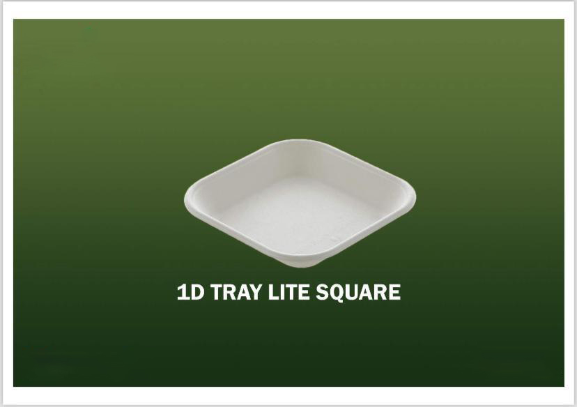 Bagasse Disposable Products