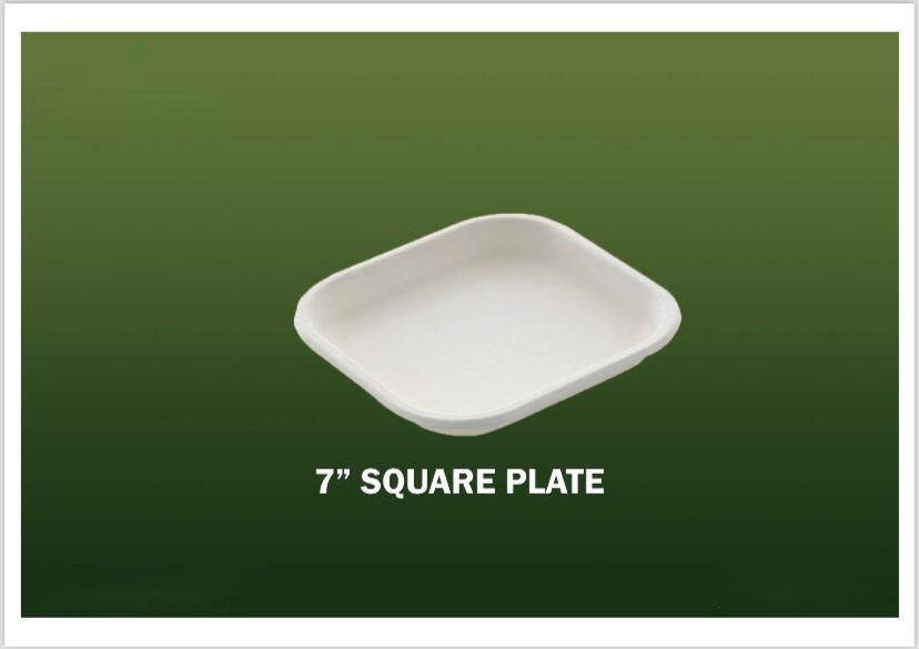 Bagasse Disposable Products