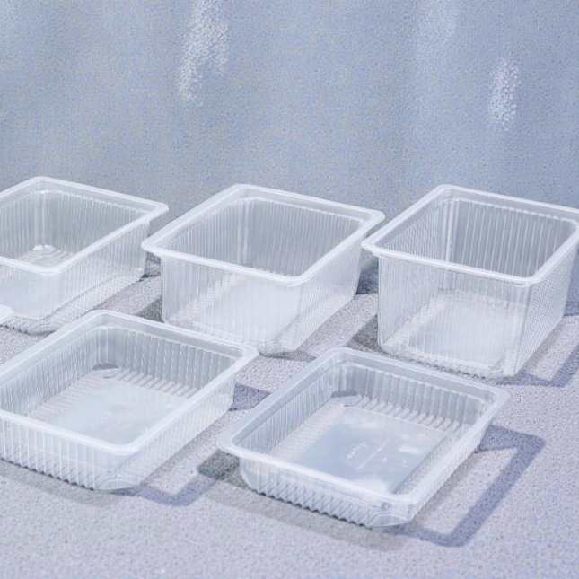 PP Rectangle containers